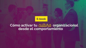 Ebook Cultura Organizacional Desde el Comportamiento
