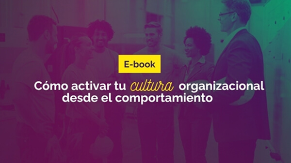 Ebook Cultura Organizacional Desde el Comportamiento